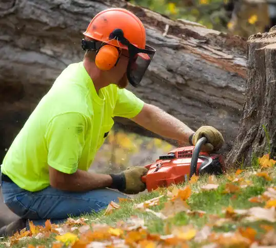 tree services Baldwyn